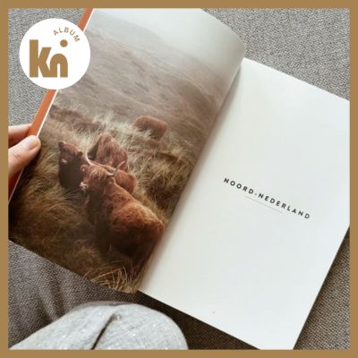 Đặt làm bìa album photobook đẹp