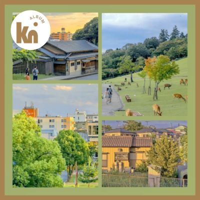 Cách thiết kế khung photobook 4 ảnh